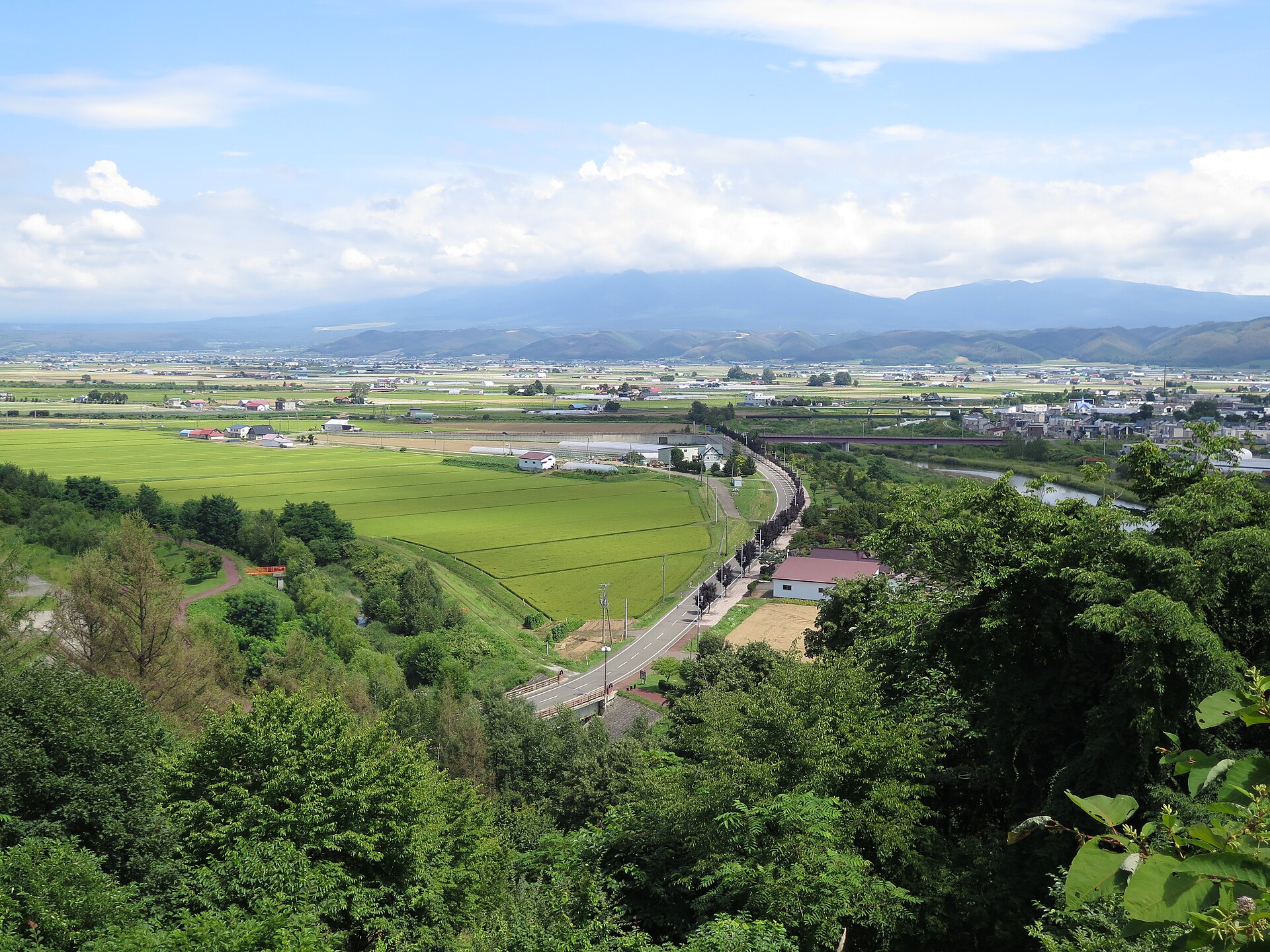 高台から見た富良野市街と田畑、奥の山並み