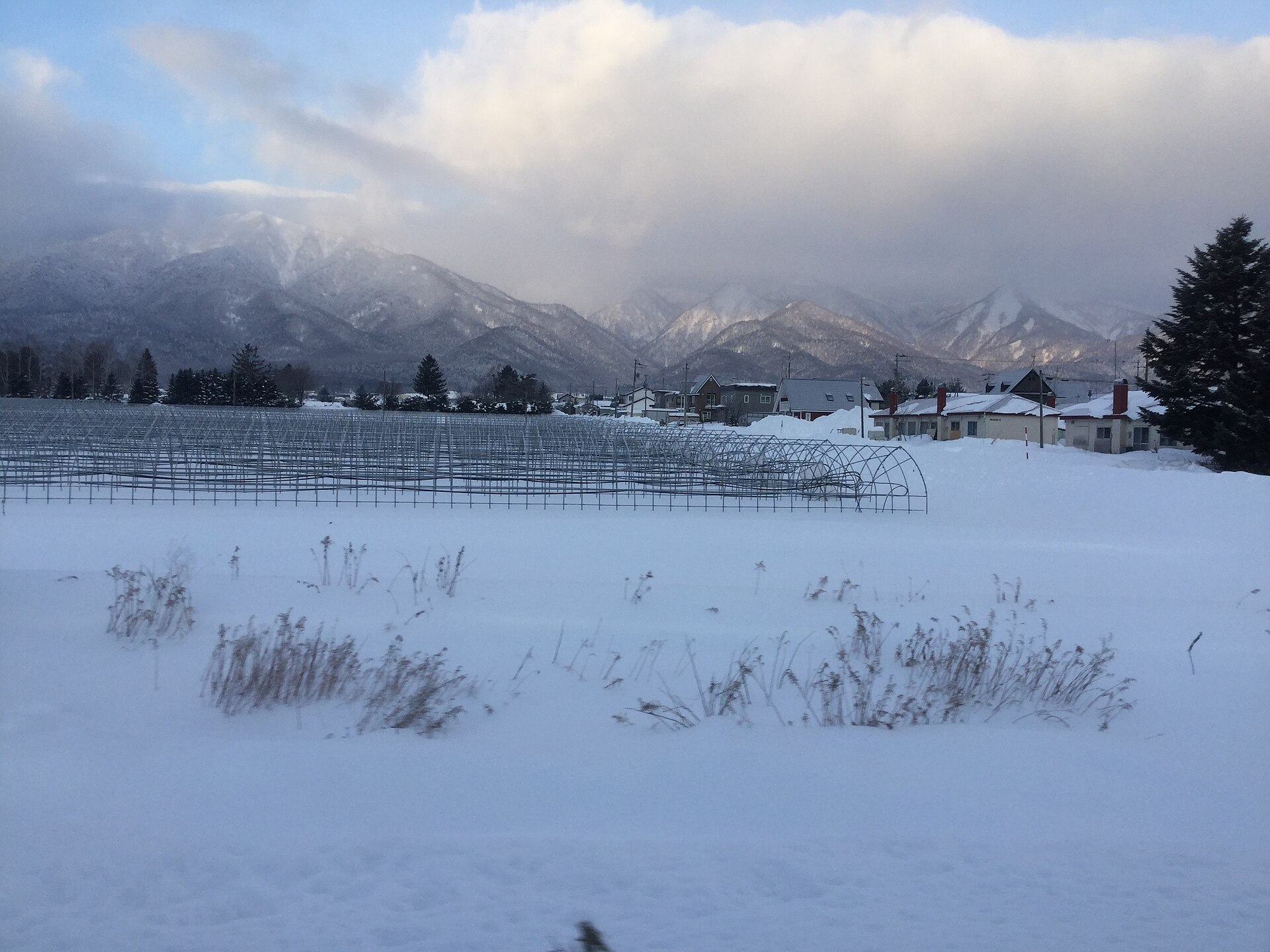 雪の畑と奥の雪山