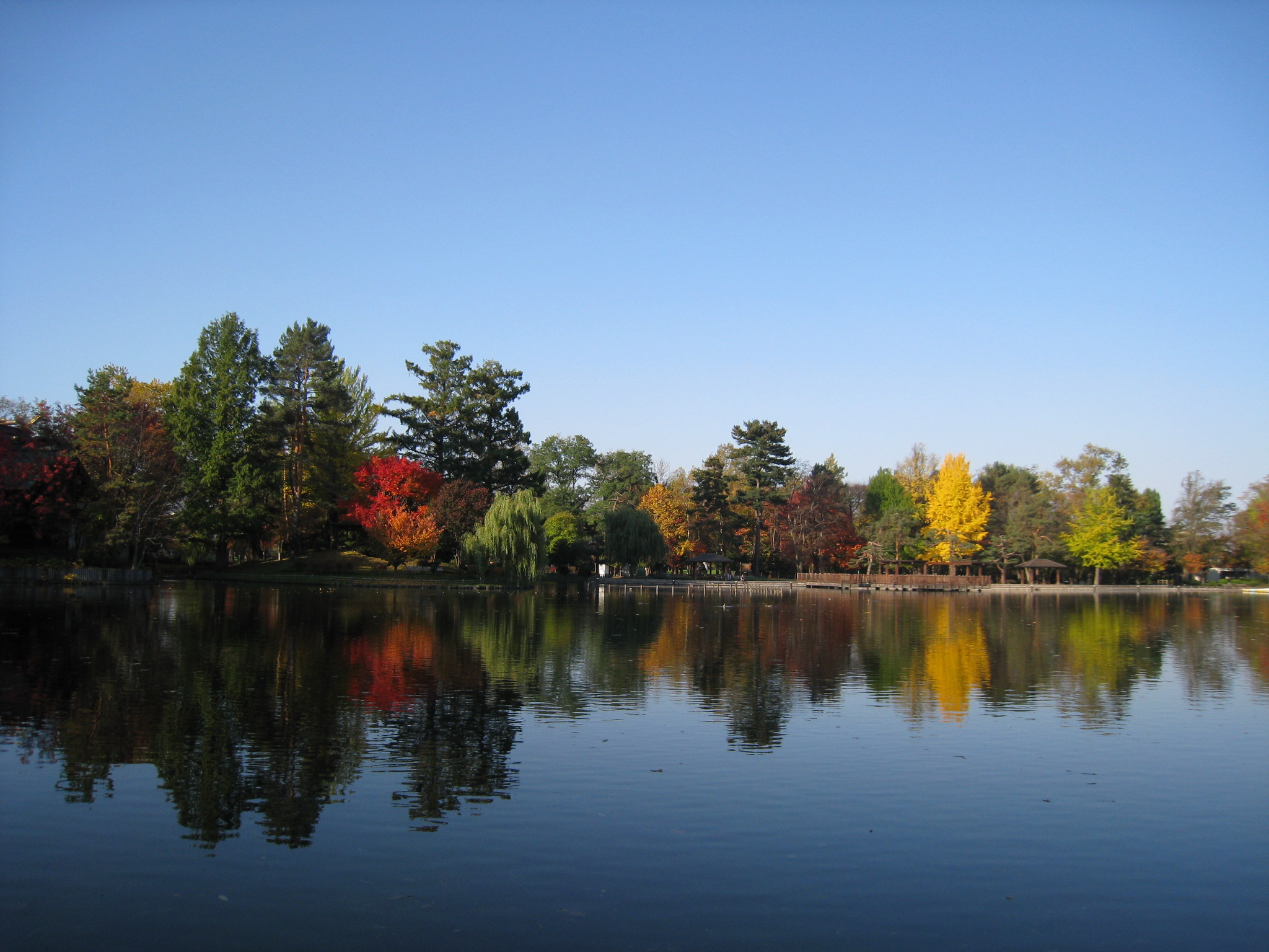 旭川市の常磐公園の常盤の池と紅葉