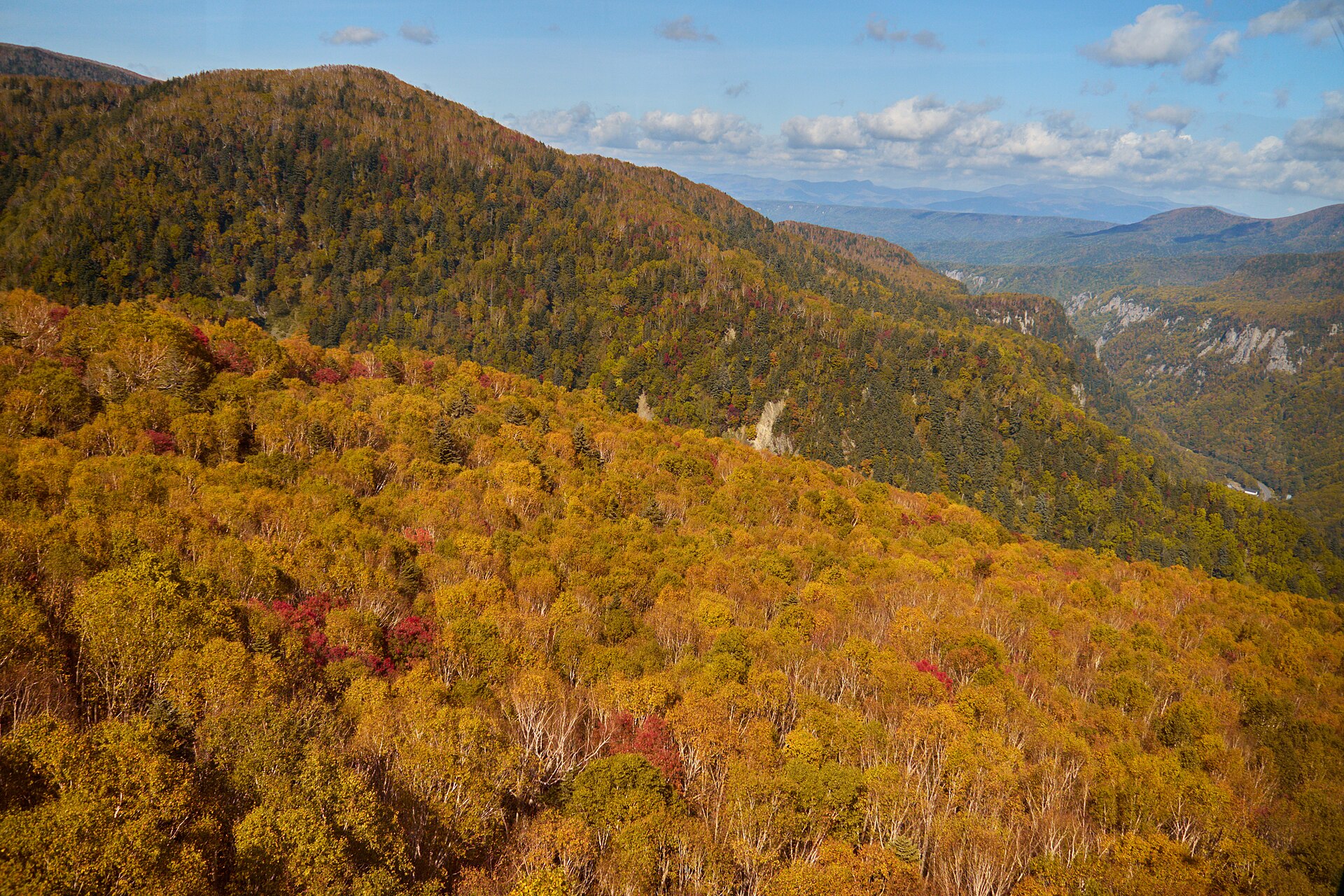 黄色や赤に色づいた広葉樹の斜面と山