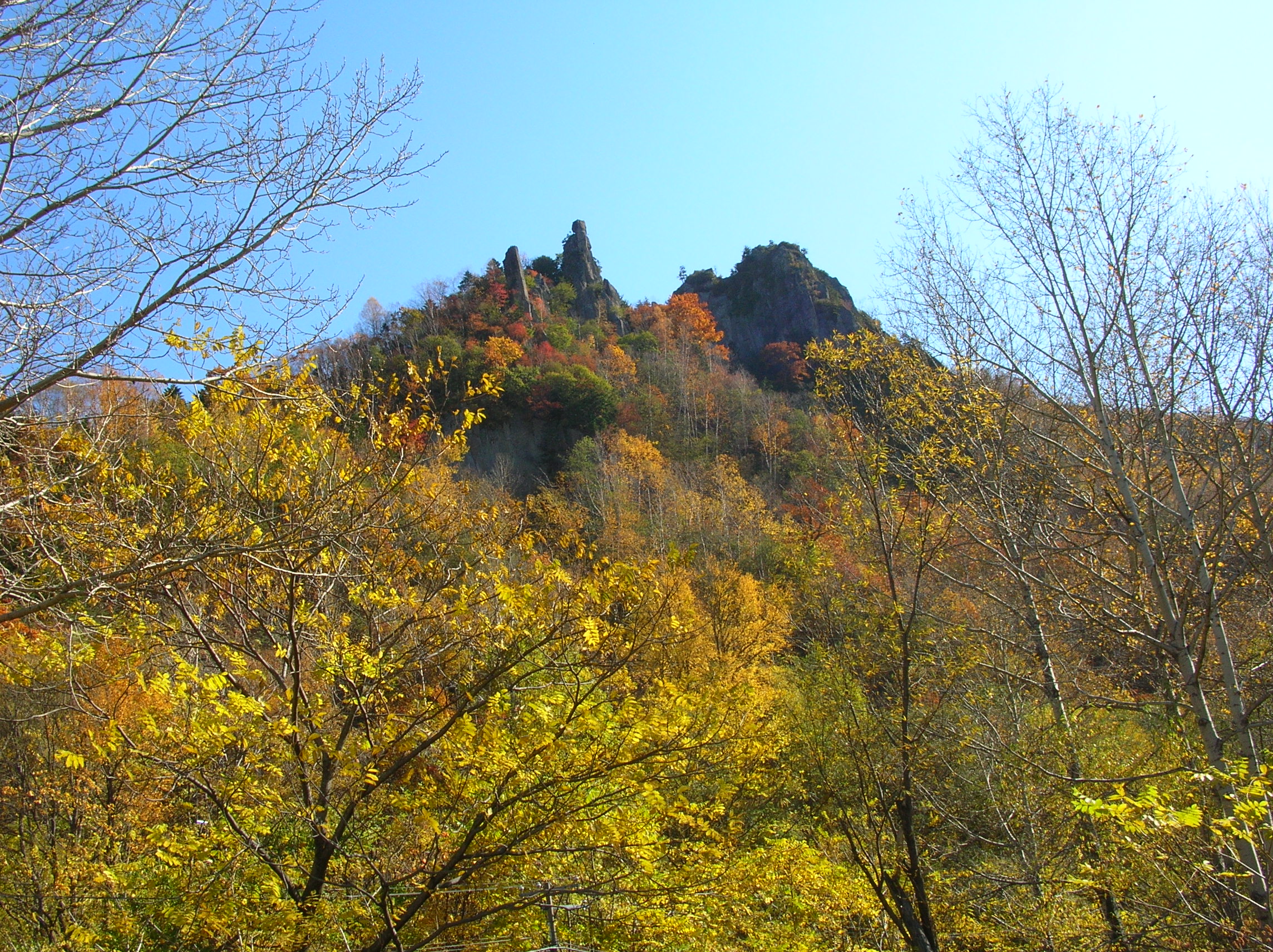 黄葉の木々と奥の岩峰