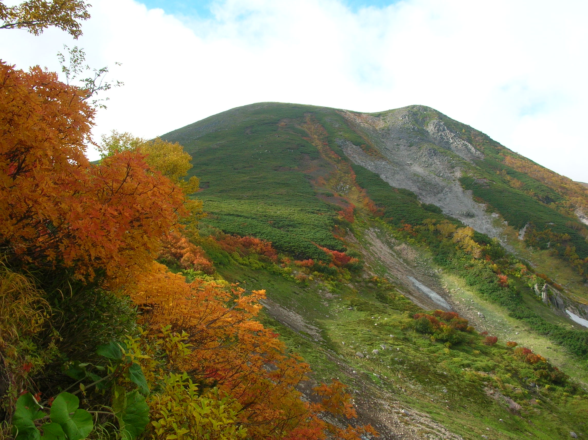 紅葉の斜面と緑岳