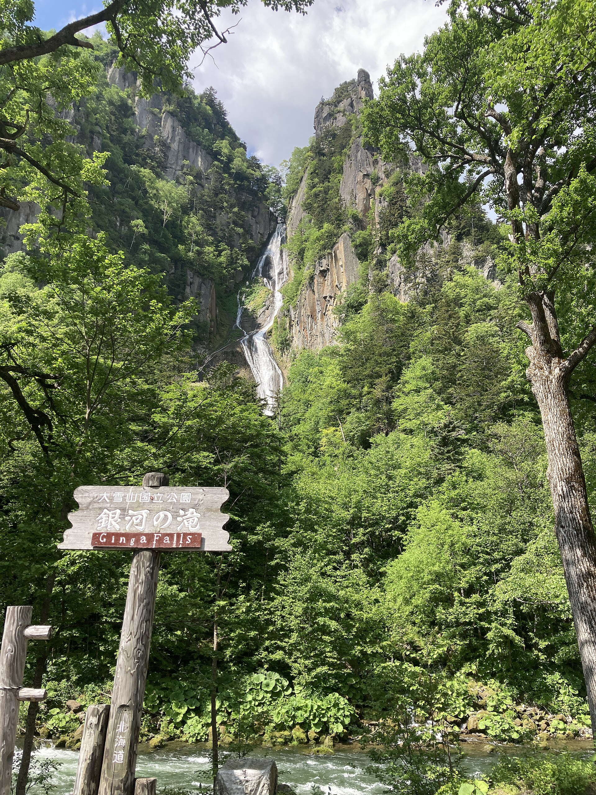 銀河の滝と木の案内板