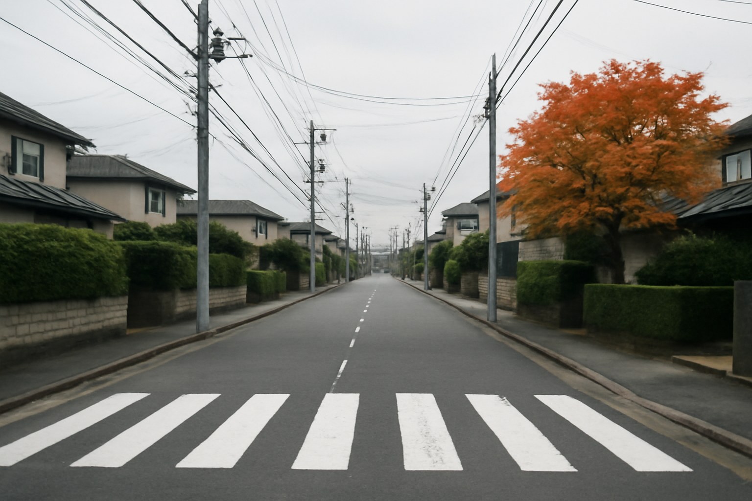 旭川市内の住宅街の道路