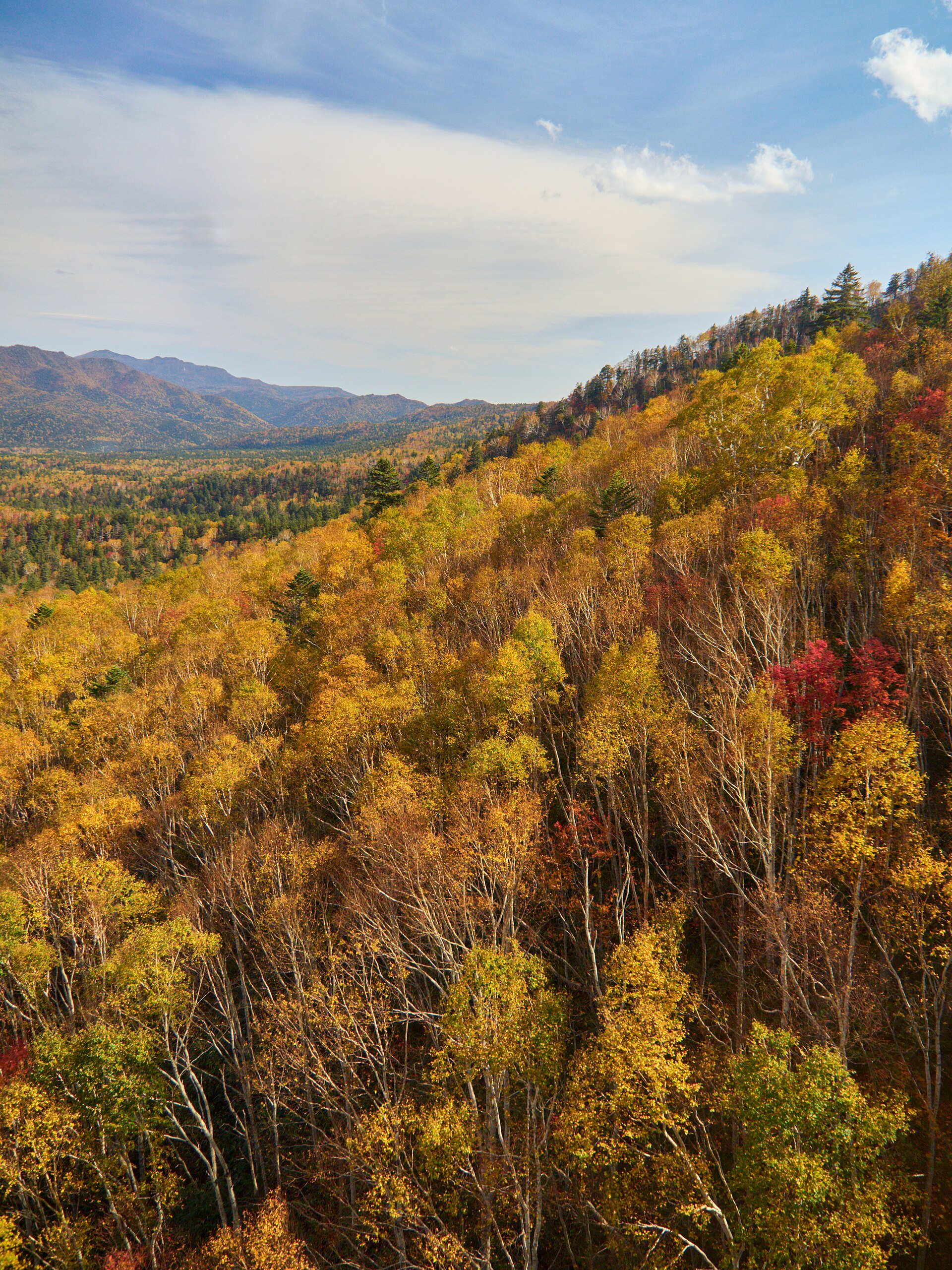 黒岳の紅葉と山肌
