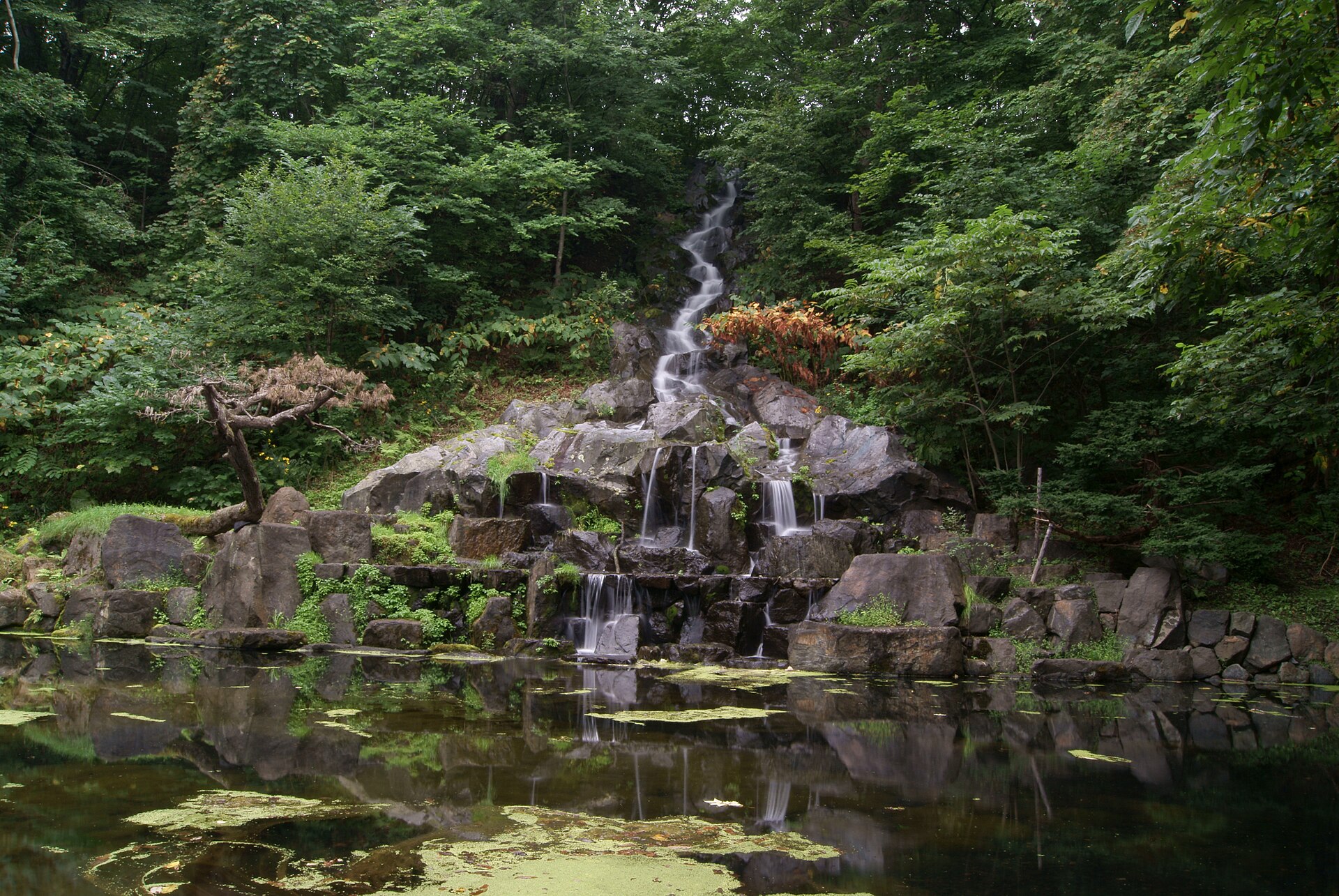 神楽岡公園